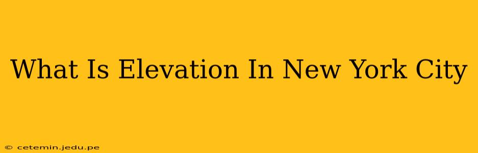 What Is Elevation In New York City