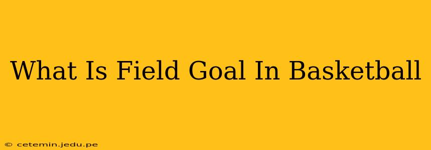 What Is Field Goal In Basketball