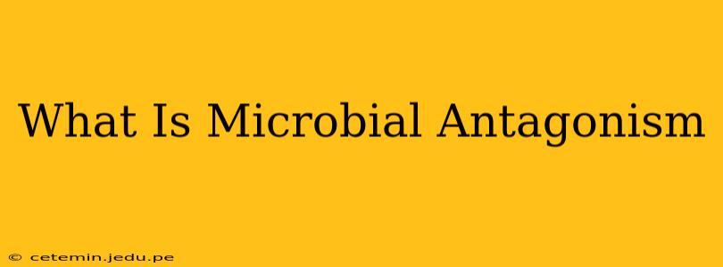 What Is Microbial Antagonism