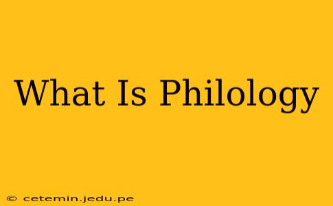 What Is Philology