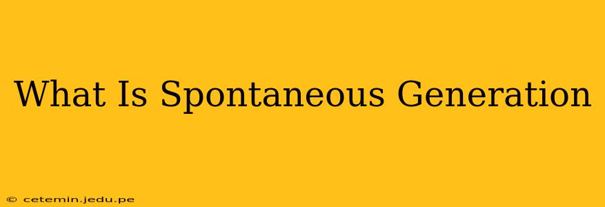 What Is Spontaneous Generation