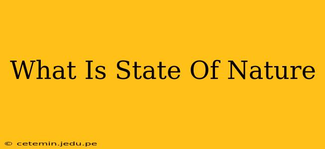 What Is State Of Nature