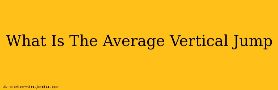 What Is The Average Vertical Jump