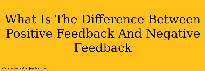 What Is The Difference Between Positive Feedback And Negative Feedback