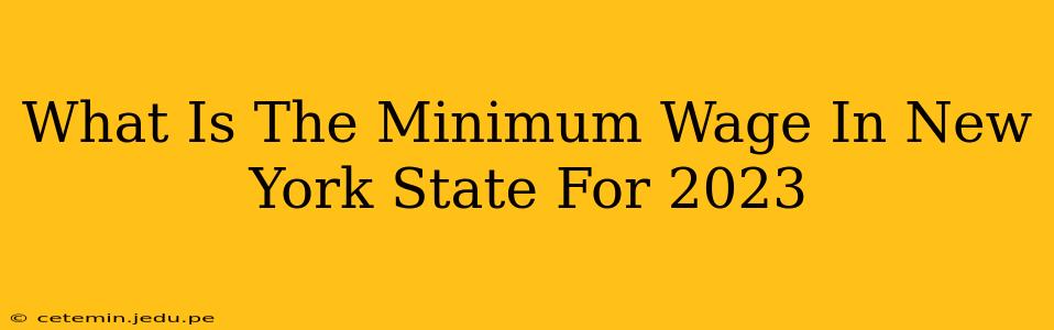 What Is The Minimum Wage In New York State For 2023