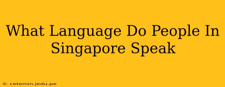What Language Do People In Singapore Speak