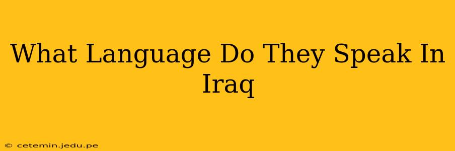 What Language Do They Speak In Iraq