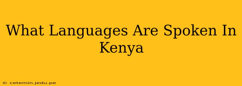 What Languages Are Spoken In Kenya