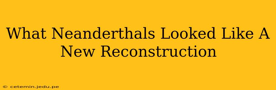 What Neanderthals Looked Like A New Reconstruction