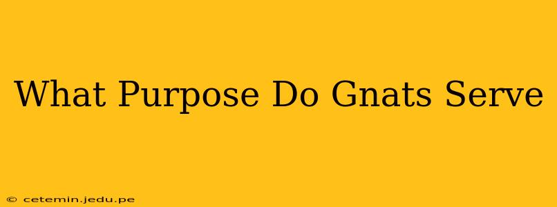 What Purpose Do Gnats Serve