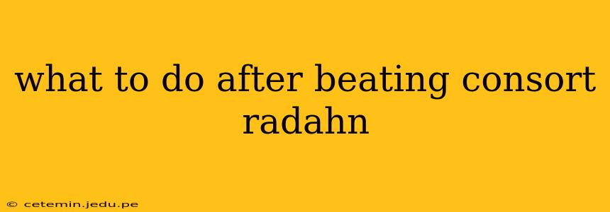 what to do after beating consort radahn