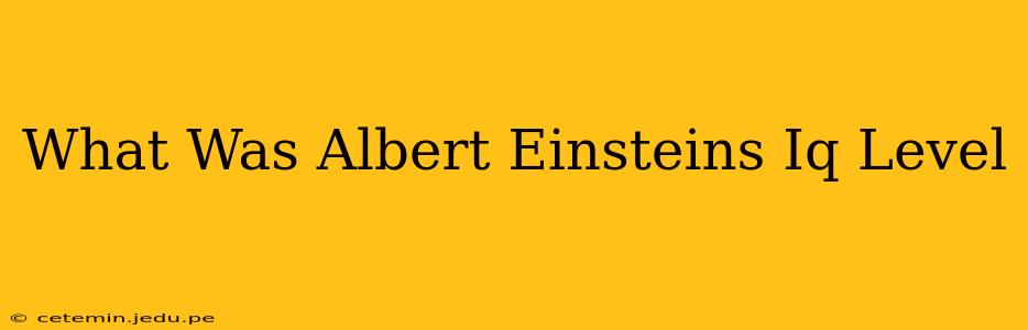 What Was Albert Einsteins Iq Level