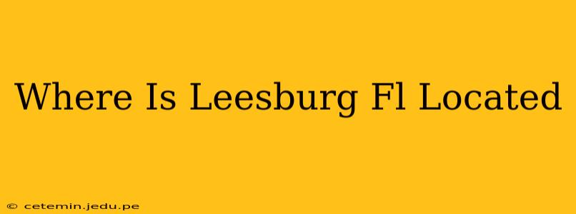 Where Is Leesburg Fl Located