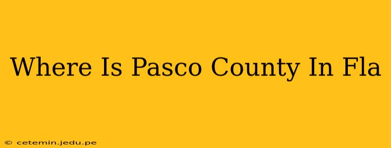 Where Is Pasco County In Fla