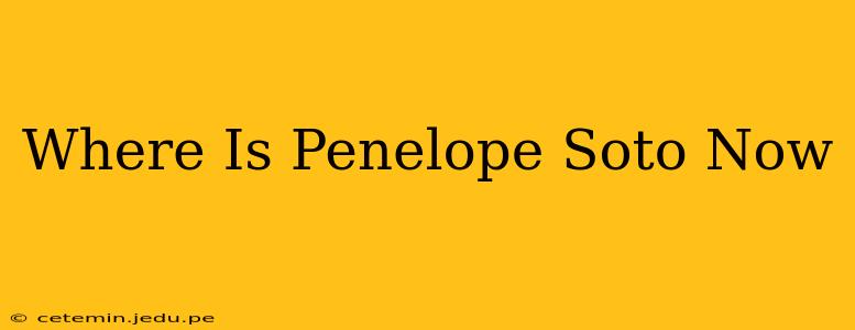 Where Is Penelope Soto Now