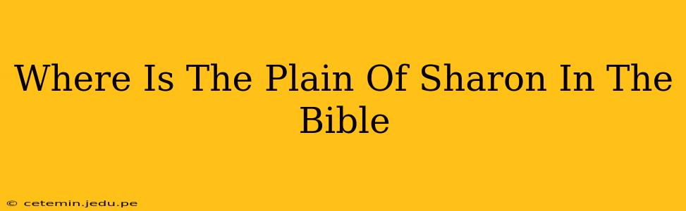 Where Is The Plain Of Sharon In The Bible