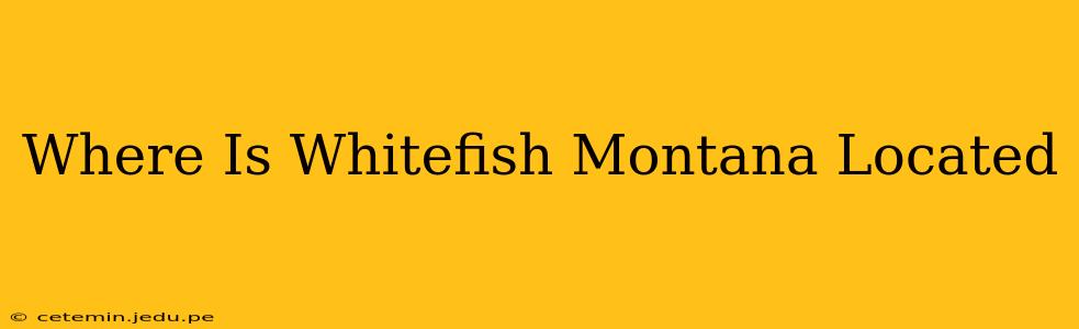 Where Is Whitefish Montana Located