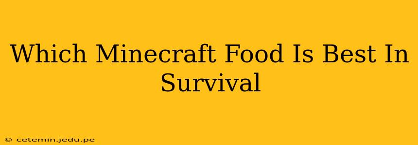 Which Minecraft Food Is Best In Survival