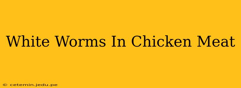 White Worms In Chicken Meat