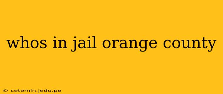 whos in jail orange county