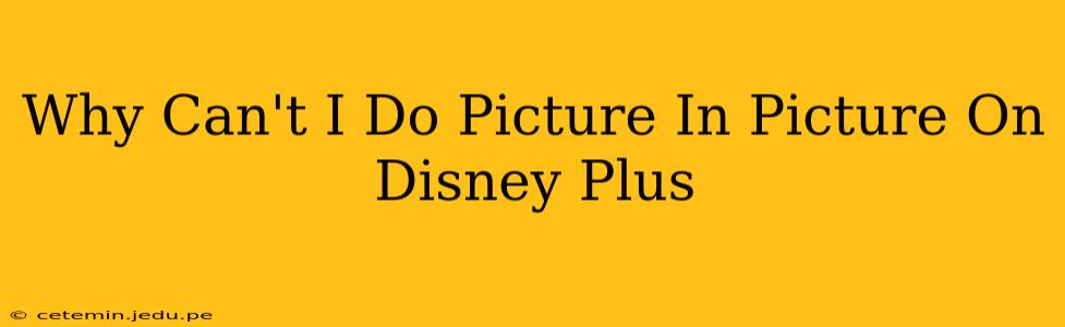 Why Can't I Do Picture In Picture On Disney Plus