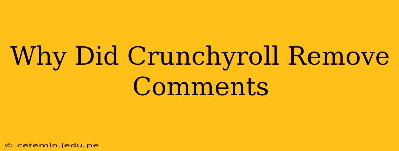 Why Did Crunchyroll Remove Comments