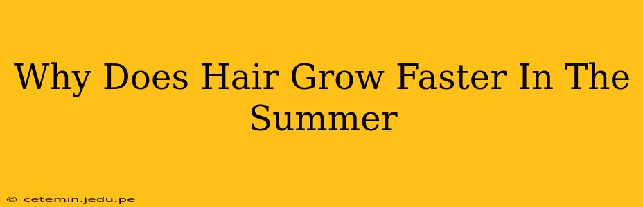 Why Does Hair Grow Faster In The Summer