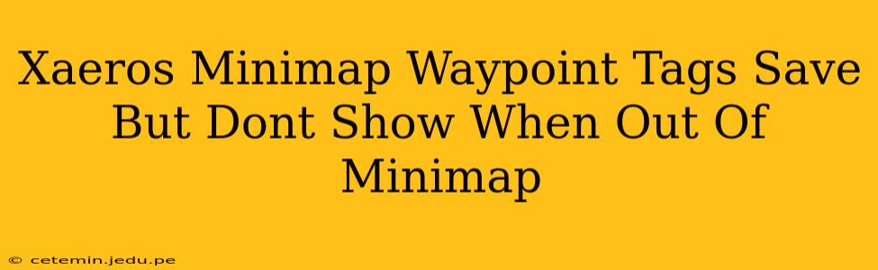 Xaeros Minimap Waypoint Tags Save But Dont Show When Out Of Minimap