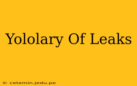 Yololary Of Leaks