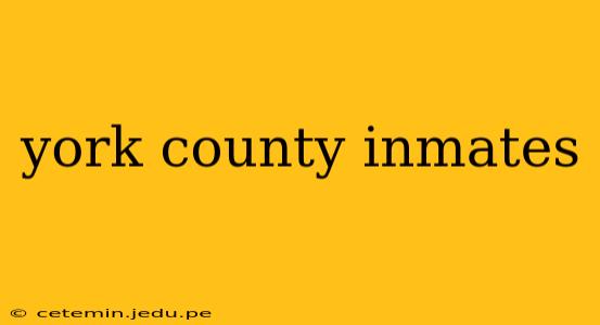 york county inmates