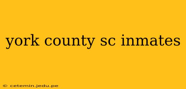 york county sc inmates