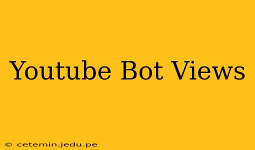 Youtube Bot Views