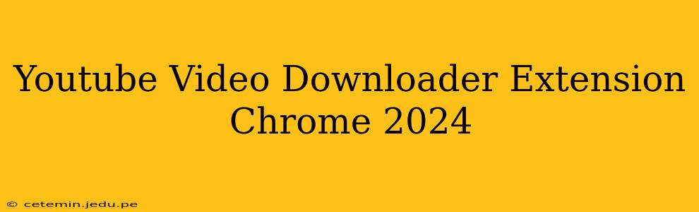 Youtube Video Downloader Extension Chrome 2024