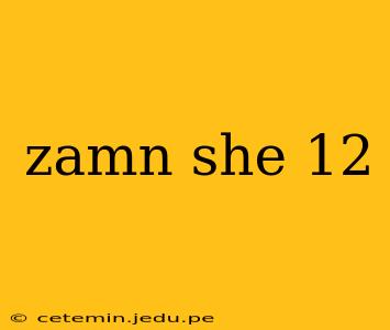 zamn she 12