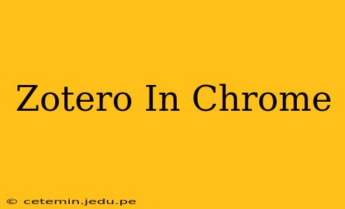 Zotero In Chrome